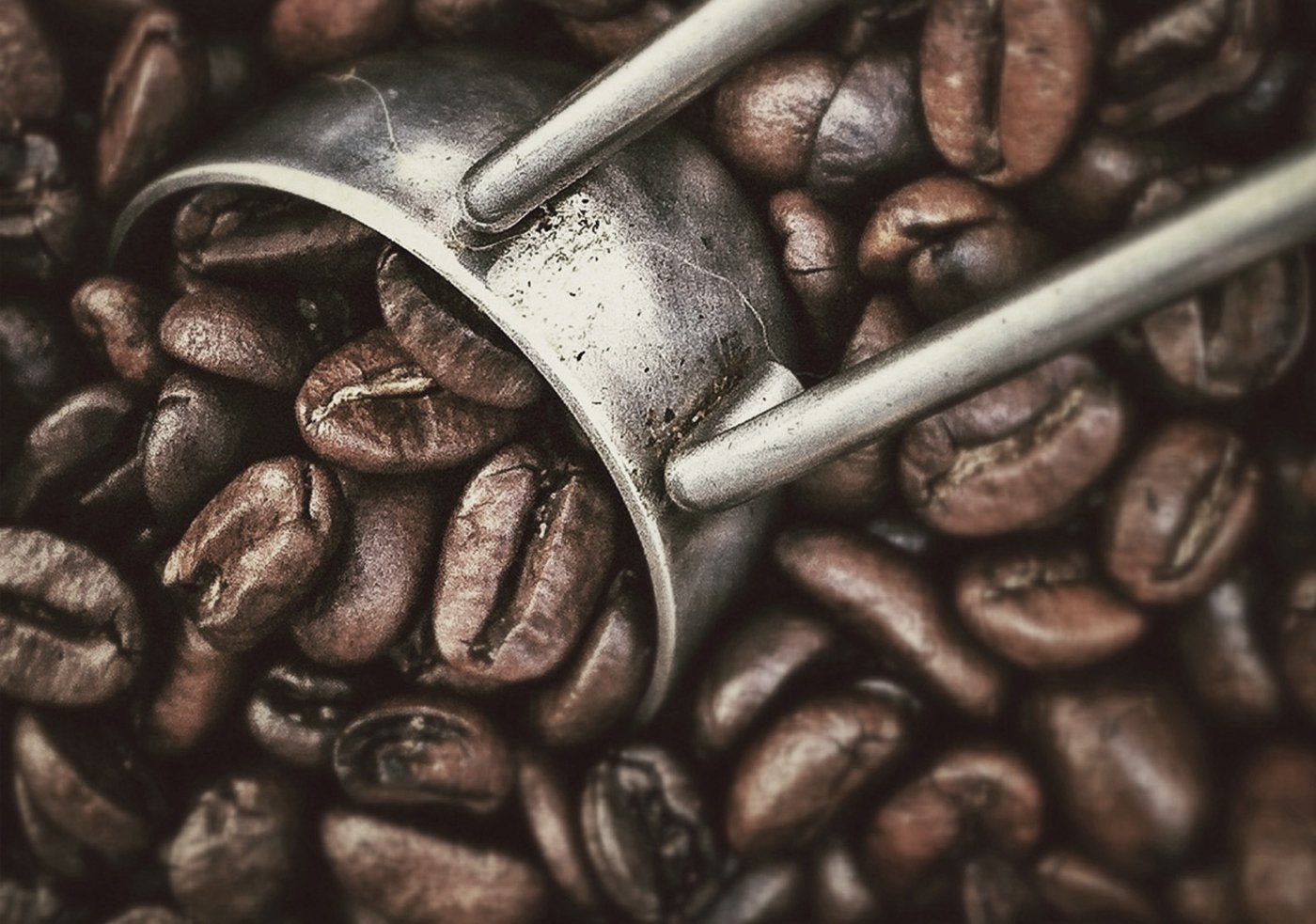 Guide des torréfactions de café